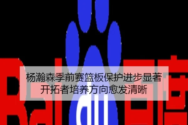 杨瀚森季前赛篮板保护进步显著 开拓者培养方向愈发清晰